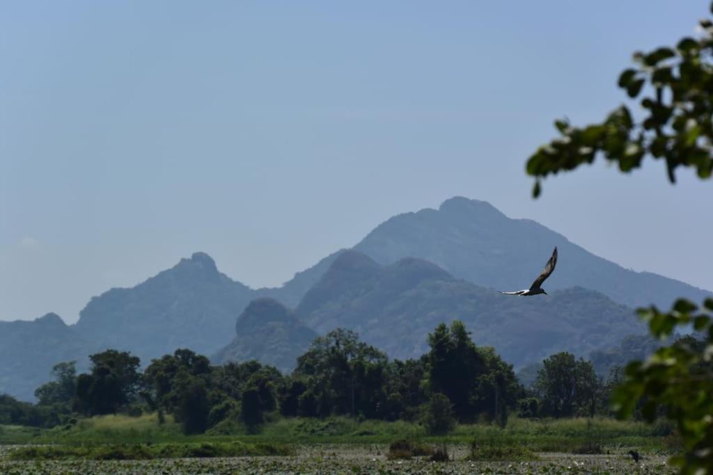 Sigiriya Village Home Stay Exterior photo