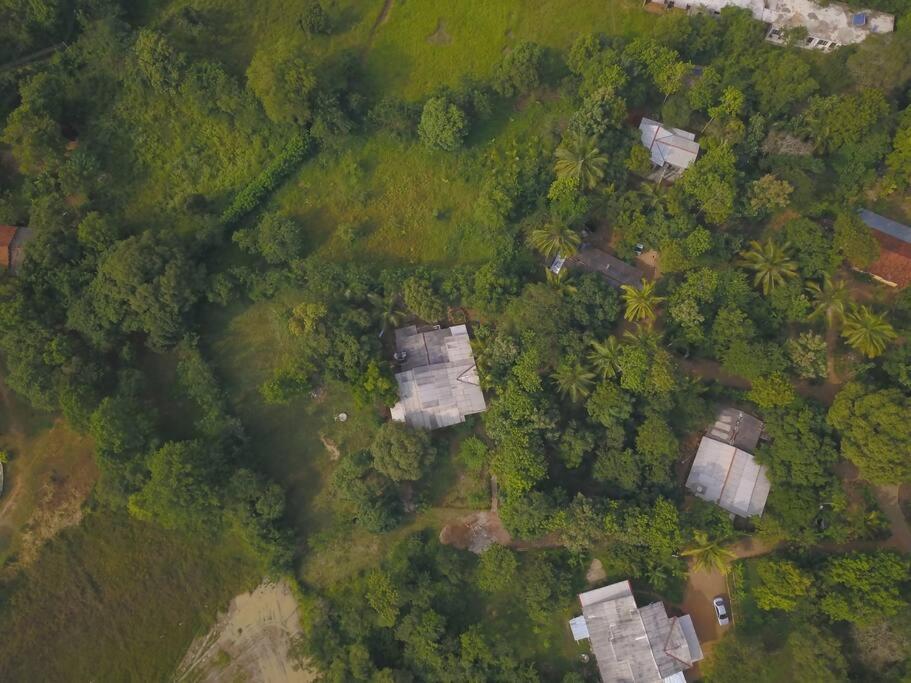 Sigiriya Village Home Stay Exterior photo